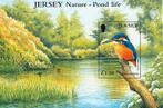 JERSEY 7 - Dieren: vogels (ijsvogel), Ophalen of Verzenden, Postfris, Dier of Natuur