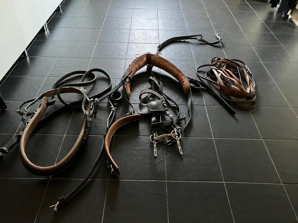 Zwart enkelspan, Ophalen of Verzenden, Zo goed als nieuw, Overige soorten