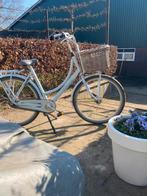 Dames/meidenfiets batavus diva lichtblauw, Versnellingen, Ophalen, Overige merken, 53 tot 56 cm