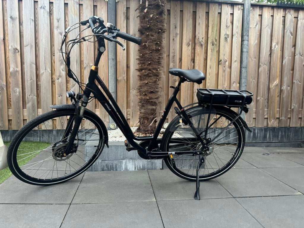 Nette amslod newton ltx ebike met schijfremmen, 55 tot 59 cm, Ophalen, Zo goed als nieuw, Overige merken