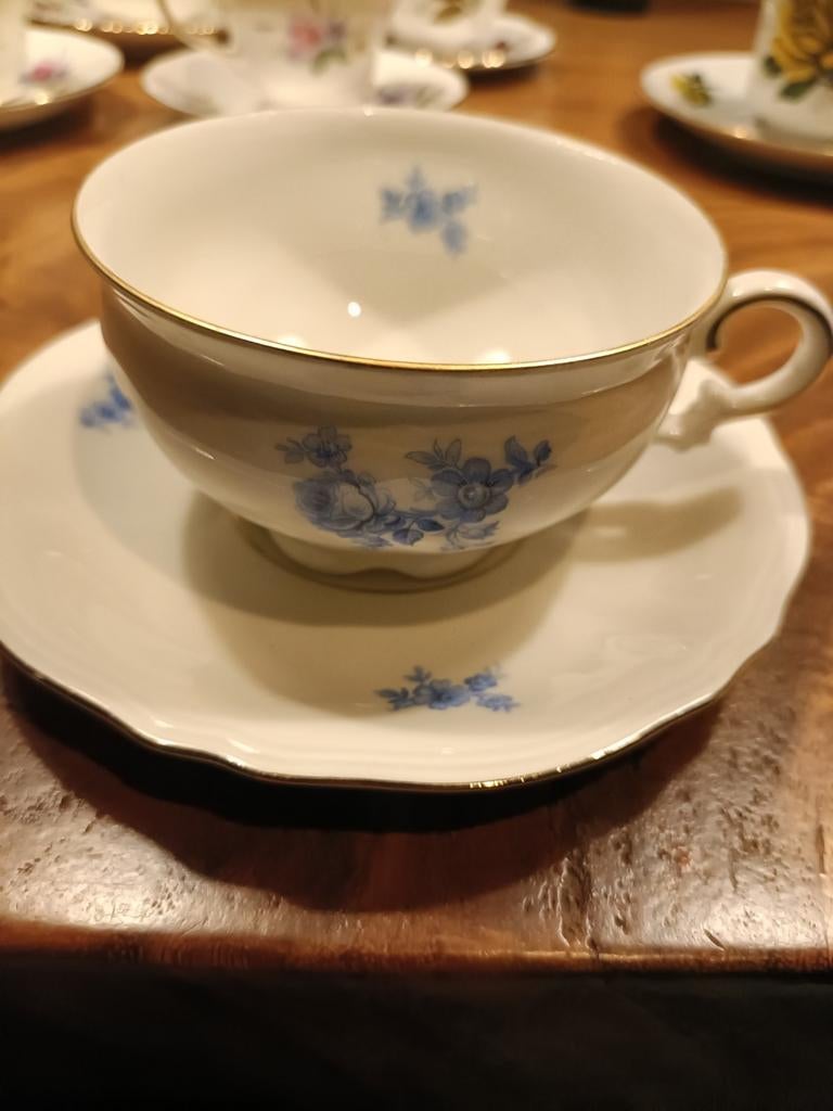 Mitterteich Bavaria porseleinen kop en schotel, Ophalen of Verzenden