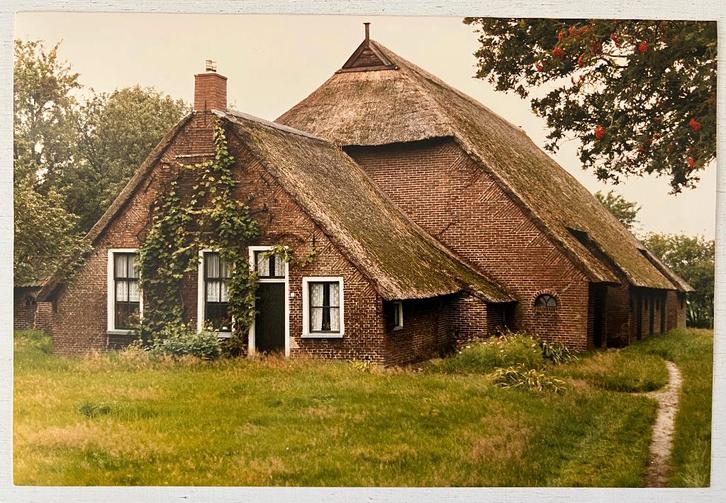 Grote foto boerderij tussen Vledder en Eesveen (1988), Verzamelen, Foto's en Prenten, Zo goed als nieuw, Foto, Gebouw, 1980 tot heden
