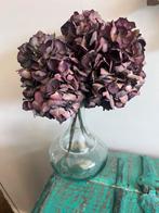 Gedroogde Hortensia's in Glazen Vaas, Huis en Inrichting, Woonaccessoires | Vazen, Gebruikt, Overige kleuren, 50 tot 75 cm, Ophalen of Verzenden