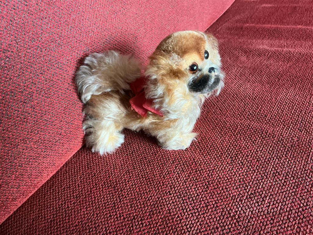 Steiff pekinees hondje Peky, Ophalen