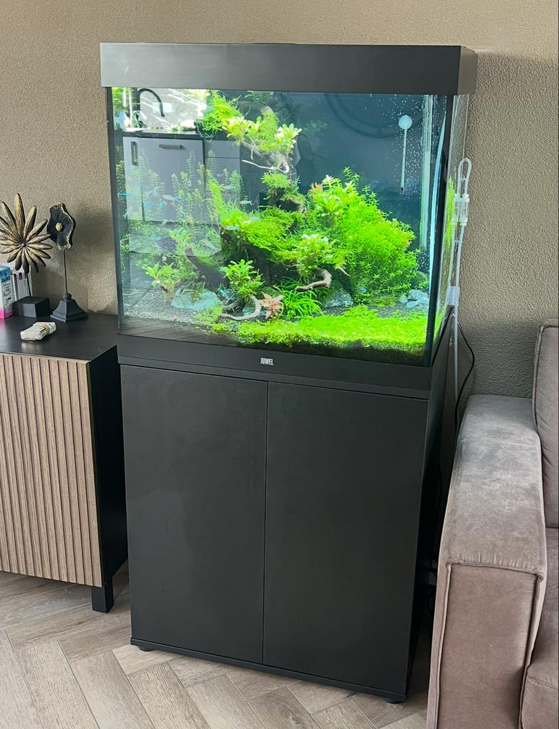 Juwel Lido 200 aquarium, Dieren en Toebehoren, Vissen | Aquaria en Toebehoren, Ophalen, Zo goed als nieuw, Leeg aquarium, Juwel