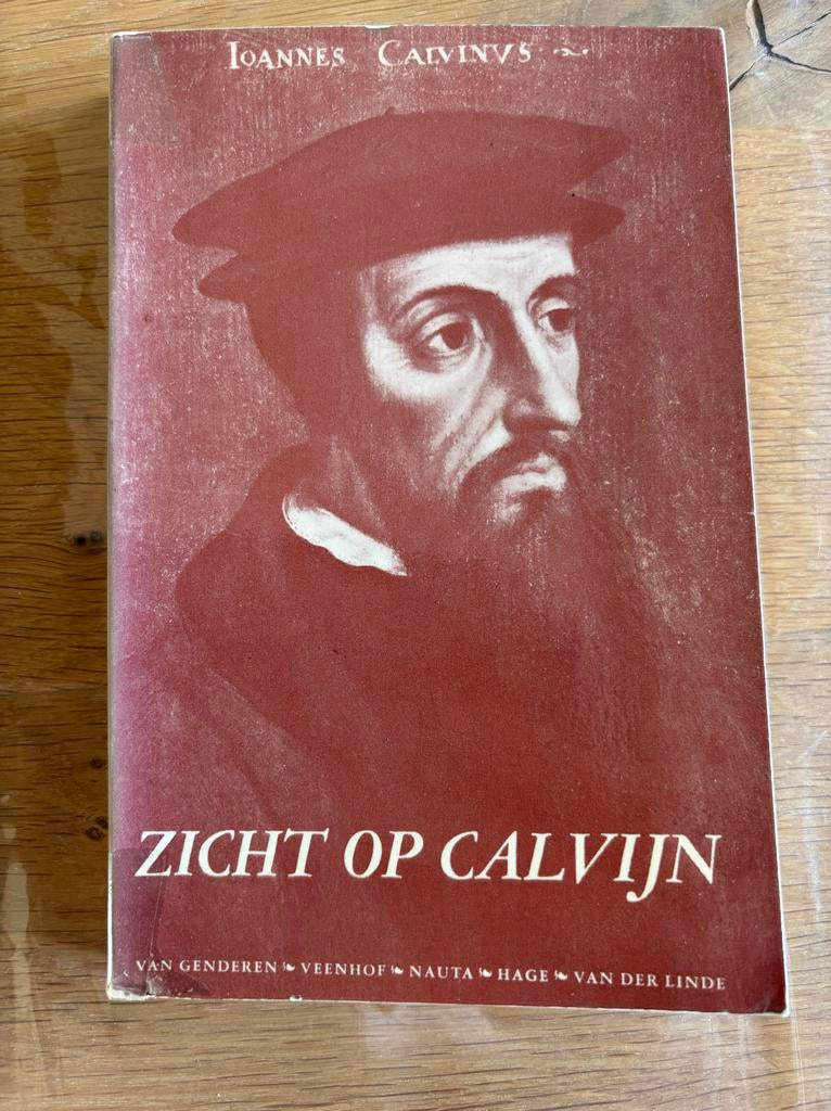 Zicht op Calvijn - 5 opstellen, Boeken, Ophalen of Verzenden, Gelezen, Christendom | Protestants