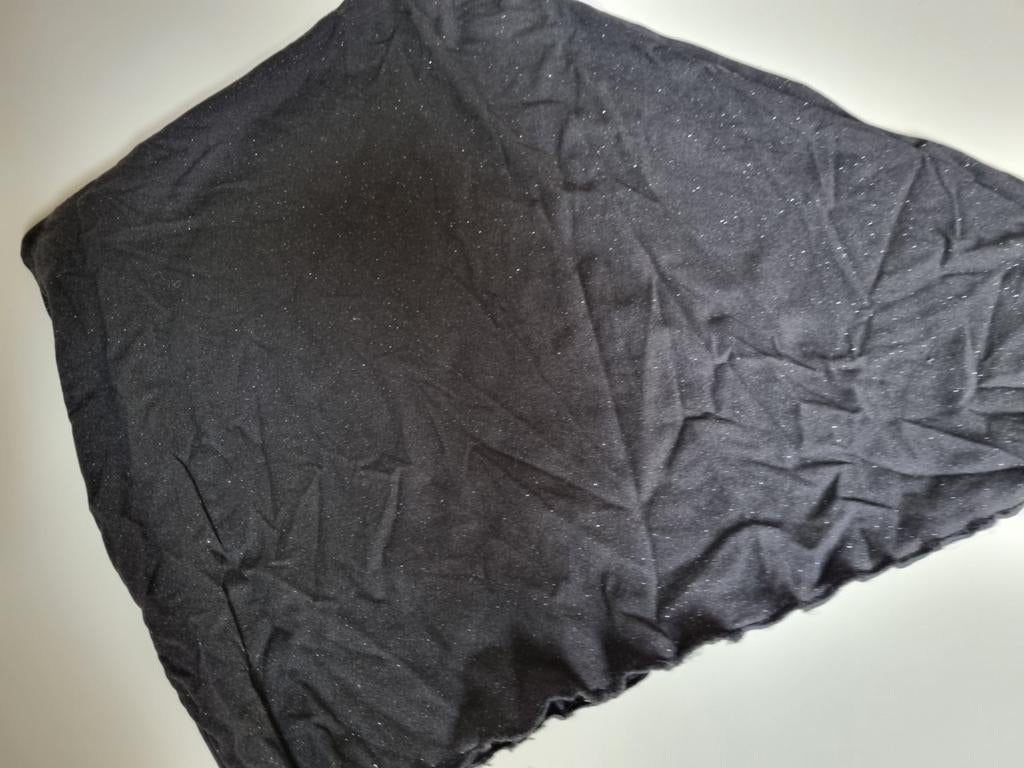 Zwarte rok met glitters en punt, Kleding | Dames, Rokken, Zwart, Maat 42/44 (L), Ophalen of Verzenden, Gedragen