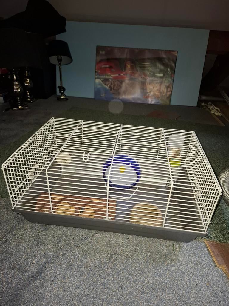 Hamsterkooi, Kooi, Gebruikt, Minder dan 75 cm, Hamster