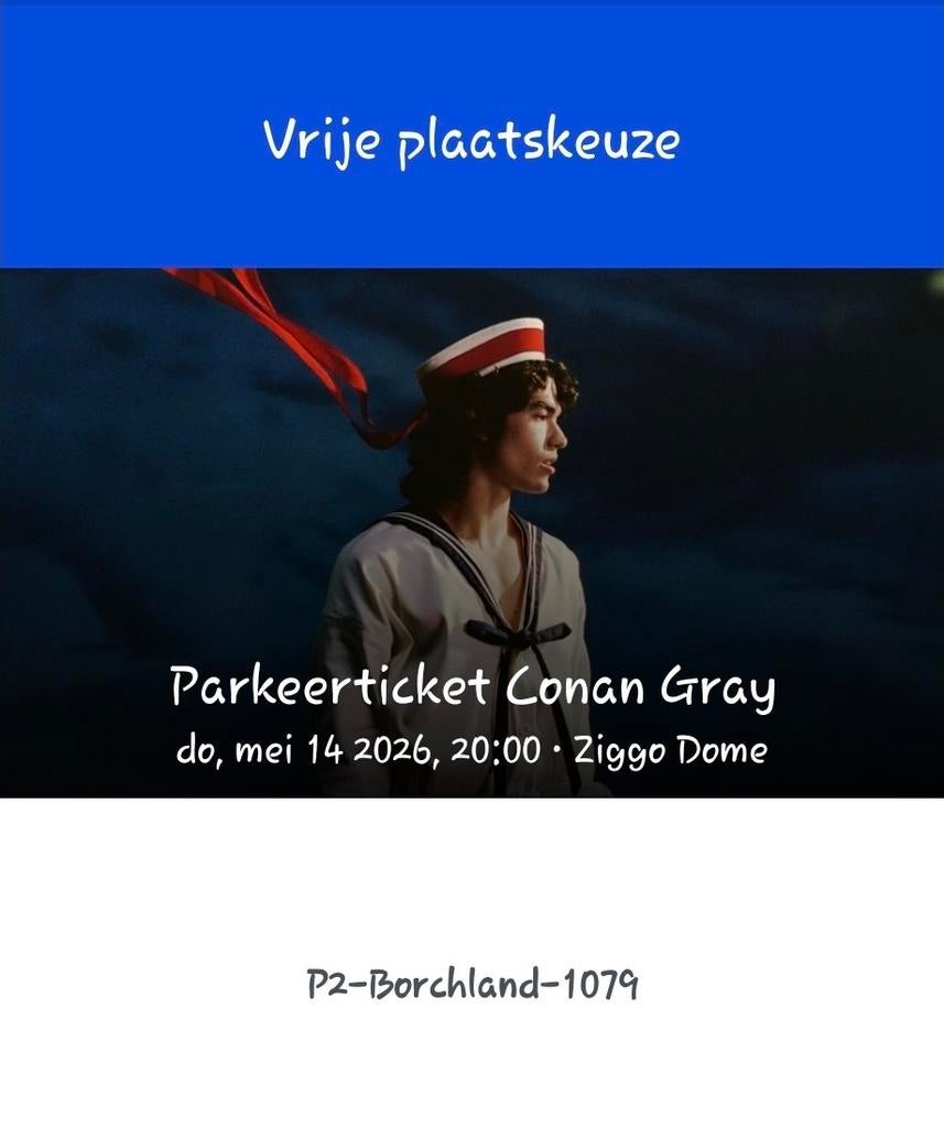 Parkeerkaart Amsterdam 14 mei, Tickets en Kaartjes, Concerten | Overige, Eén persoon, Mei