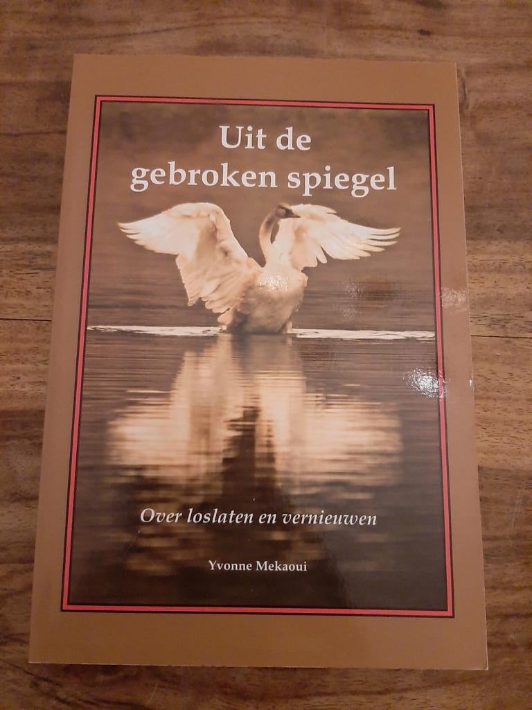 Uit de gebroken spiegel, Ophalen of Verzenden, Gelezen