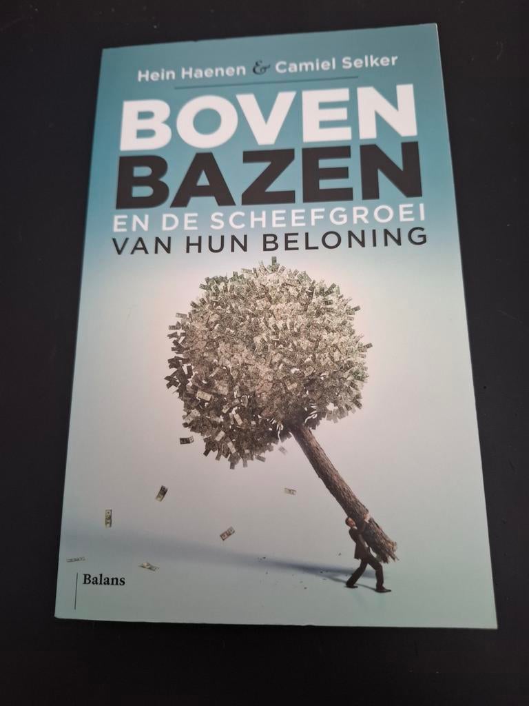 Boven Bazen - Hein Haenen & Camiel Selker, Ophalen of Verzenden, Economie en Marketing