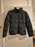 Burberry Zwarte Gewatteerde Jas - Maat 146/152 (XS), Ophalen, Zwart, Zo goed als nieuw, Burberry
