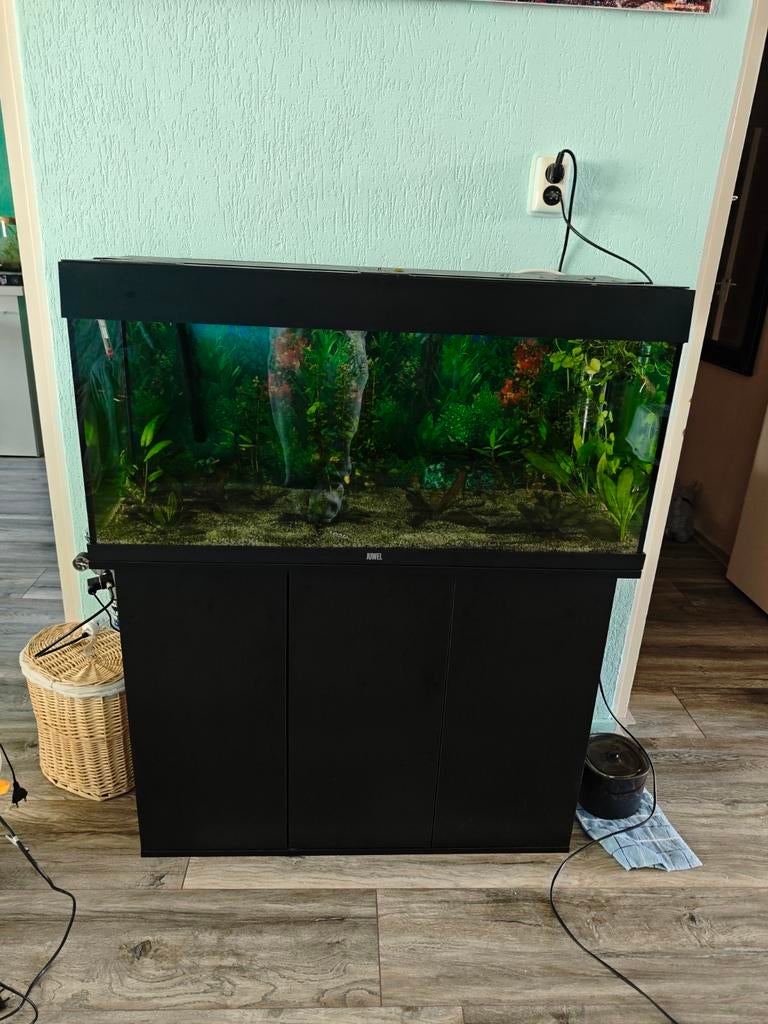 Aquarium 2 jaar oud incl chihiros verlichting, Dieren en Toebehoren, Ophalen, Zo goed als nieuw, Leeg aquarium