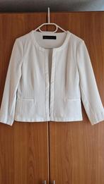 Expresso Jasje maat 36, Ophalen, Overige kleuren, Expresso, Zo goed als nieuw