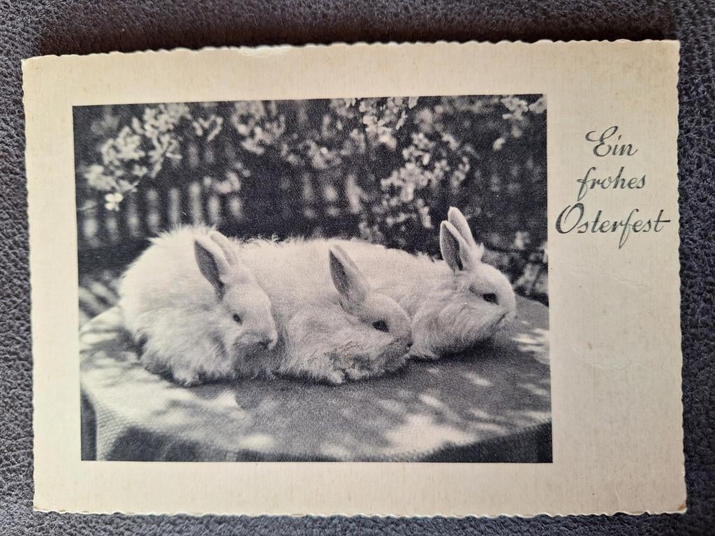 Pasen - Ein frohes Osterfest, Verzamelen, Ophalen of Verzenden, Gelopen, Feest(dag)