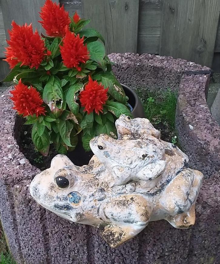 Leuke thuin decoratie., Tuin en Terras, Hand-tuingereedschap, Ophalen of Verzenden