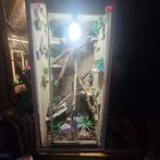 Terrarium 52x52x100, Dieren en Toebehoren, Reptielen en Amfibieën | Toebehoren, Ophalen, Gebruikt, Terrarium of Paludarium