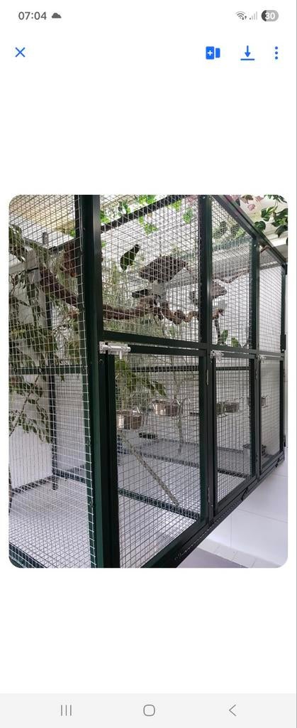 Broedkooien,hangkooien, Dieren en Toebehoren, Vogels | Hokken en Kooien, Ophalen, Broedkooi of Kweekkooi