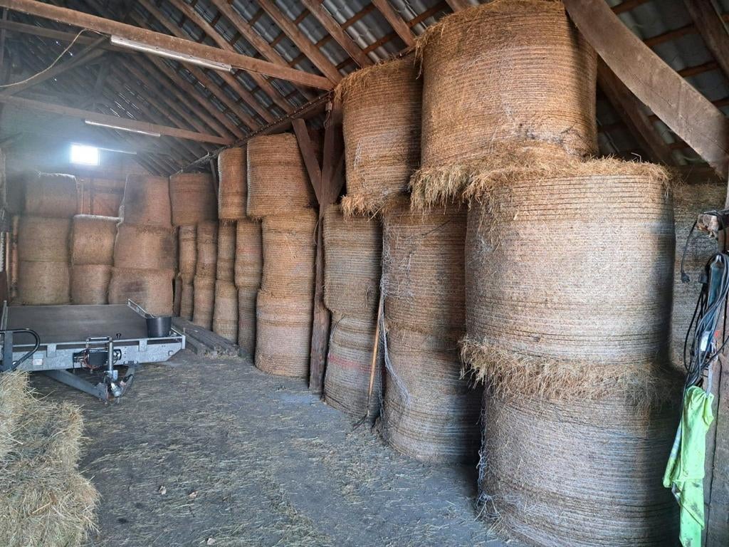 Ronde balen hooi  kleine pakjes, Dieren en Toebehoren, Dierenvoeding, Ophalen of Verzenden, Vee