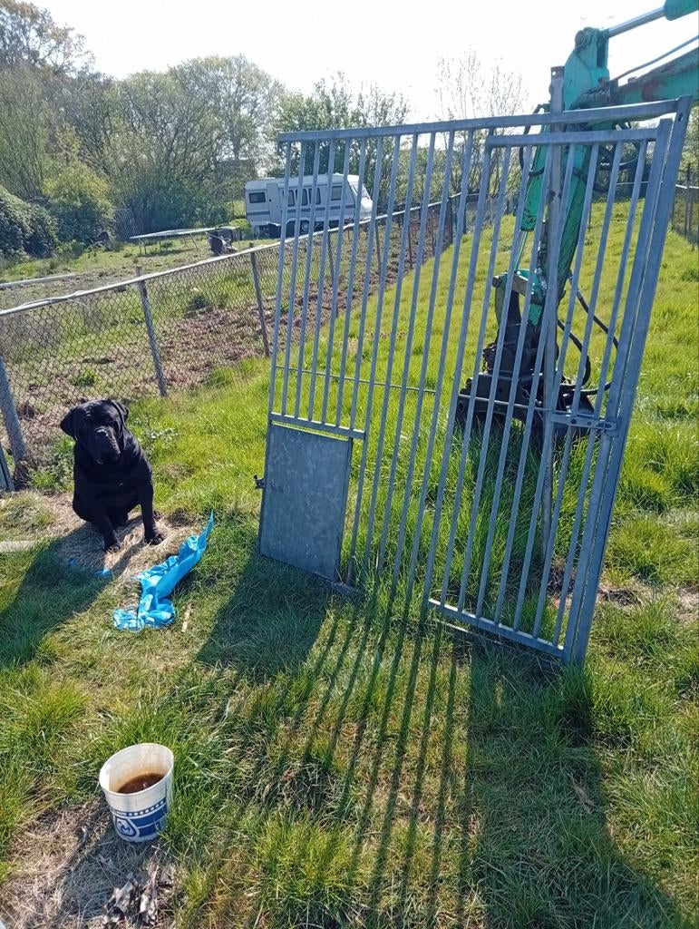 Stevig ijzeren hekwerk met poort, Ophalen, Met poort, Gebruikt, Spijlenhekwerk