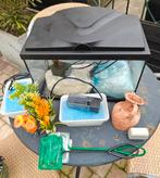 Aquarium b40xd20xh25 met toebehoren, Dieren en Toebehoren, Vissen | Aquaria en Toebehoren, Ophalen, Gebruikt