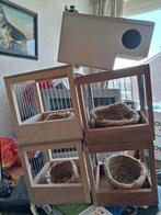 Te koop leg nesten  nieuwe, Dieren en Toebehoren, Ophalen, Nieuw, Hout, Vogelkooi