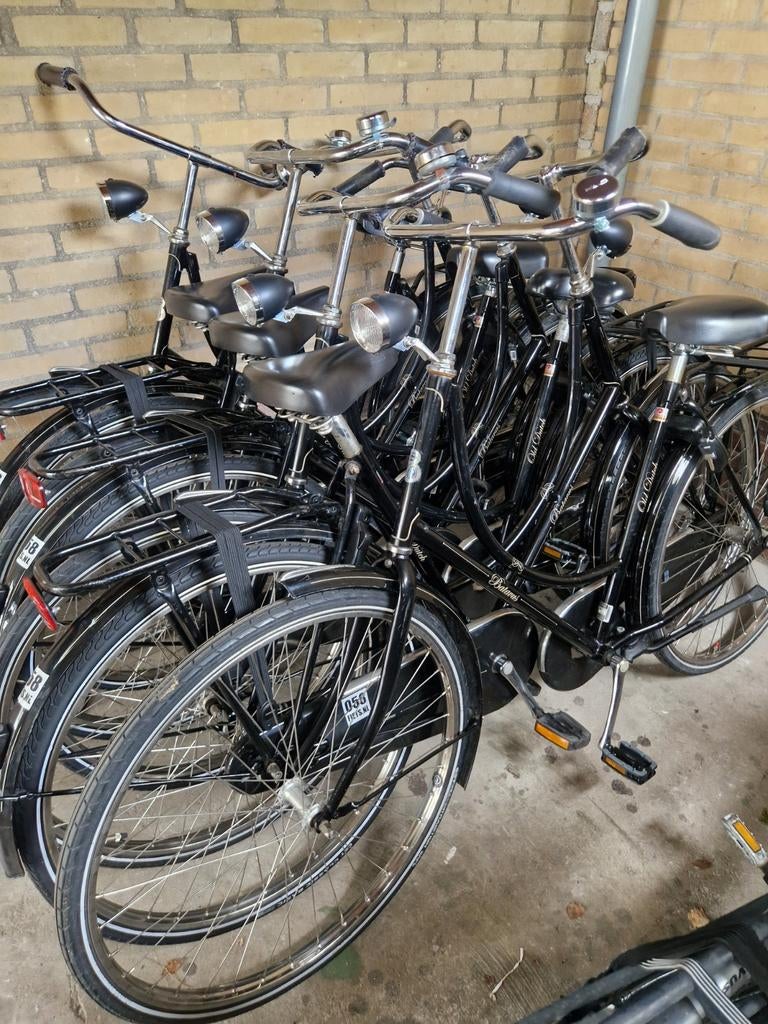 BATAVUS omafiets old dutch terugtraprem 