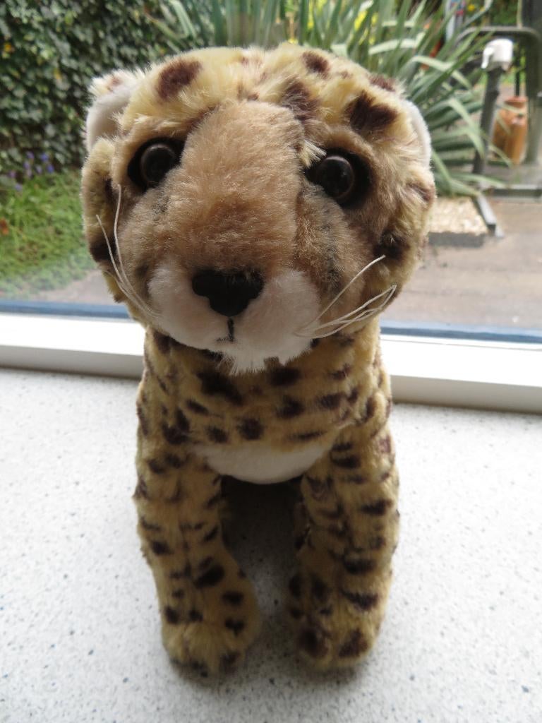 Cheeta Luipaard van Koninklijke BURGERS ZOO, Kinderen en Baby's, Speelgoed | Knuffels en Pluche, Ophalen of Verzenden, Zo goed als nieuw
