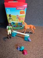 Schleich Pocket Set 42756 - Nieuwstaat!, Ophalen of Verzenden, Zo goed als nieuw, Overige merken