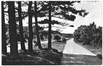 700118 Bergen aan Zee 1955 Zeeweg rijwielpad Gelopen