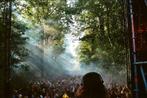Twee Dagkaarten Vrijdag Draaimolen Festival, Tickets en Kaartjes, Twee personen