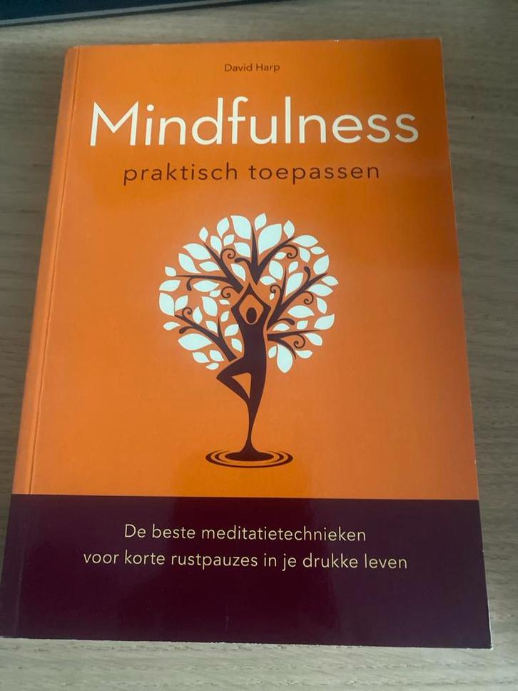 Mindfulness praktisch toepassen - David Harp - Zgan, Boeken, Esoterie en Spiritualiteit, Zo goed als nieuw, Instructieboek, Meditatie of Yoga