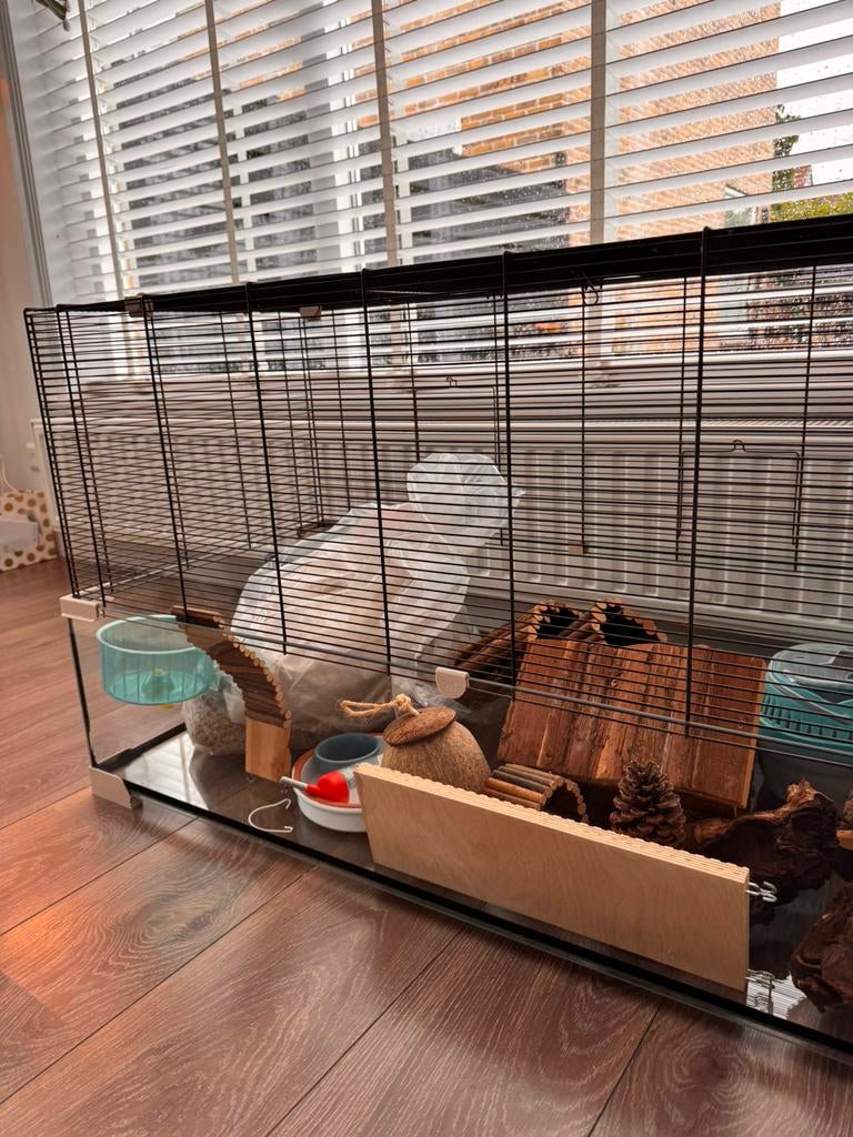 Groot hamster hok/verblijf incl veel accessoires, Ophalen, Zo goed als nieuw, Hok, 75 tot 110 cm