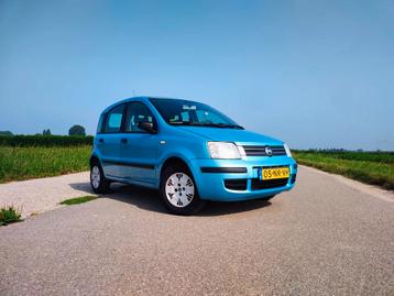 Fiat Panda 1.2 (169) beschikbaar voor biedingen