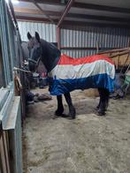 Pagony Holland 200 grams 205, Dieren en Toebehoren, Paarden en Pony's | Dekens en Dekjes, Ophalen of Verzenden, Zo goed als nieuw