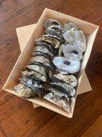 Oesterschelpen 7/8 cm schoon gemaakt en meerdere mandjes, Hobby en Vrije tijd, Overige Hobby en Vrije tijd, Ophalen of Verzenden