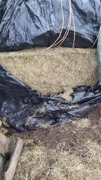 Hooibalen kuilbalen te koop, Ophalen, Vee
