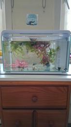 Moderne aquarium..kleuren led., Dieren en Toebehoren, Vissen | Aquaria en Toebehoren, Ophalen of Verzenden, Leeg aquarium