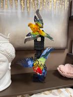 Opgezette Parkieten op Zwart Ornament, Ophalen of Verzenden