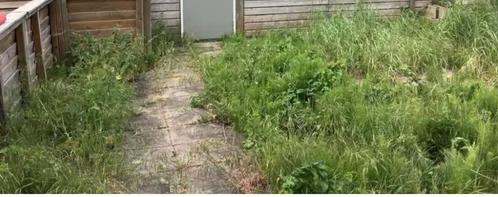 Tuin onkruidvrij maken, Diensten en Vakmensen, Tuinmannen en Stratenmakers, Tuinonderhoud of Snoeiwerk