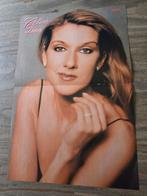 Poster van zangeres Céline Dion !!, Ophalen of Verzenden, Poster, Artwork of Schilderij