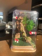 Springspin spin terrarium egels bos 10x10x14,5cm, Dieren en Toebehoren, Spin of Schorpioen