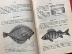 Geïllustreerd kookboek (ca. 1920 met 92 illustraties), Boeken, Gelezen, Ophalen of Verzenden, Europa
