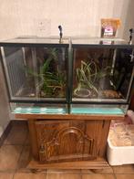 2 Dutch Rana kweekbakken, Ophalen, Gebruikt, Terrarium of Paludarium