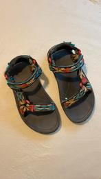 Teva maat online 31