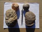 4 X Araucaria mirabilis en alvarezii, fossilized pine cone, Ophalen of Verzenden, Fossiel