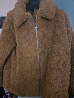 Winterjas maat m / nieuw, Ophalen of Verzenden, Nieuw, Maat 38/40 (M), Bruin