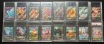 Volledige alt art set evolving skies eeveelutions, Ophalen of Verzenden, Zo goed als nieuw, Meerdere kaarten