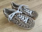 Vingino schoenen meisje maat 38 panter print, Gebruikt, Meisje, Schoenen, Ophalen of Verzenden