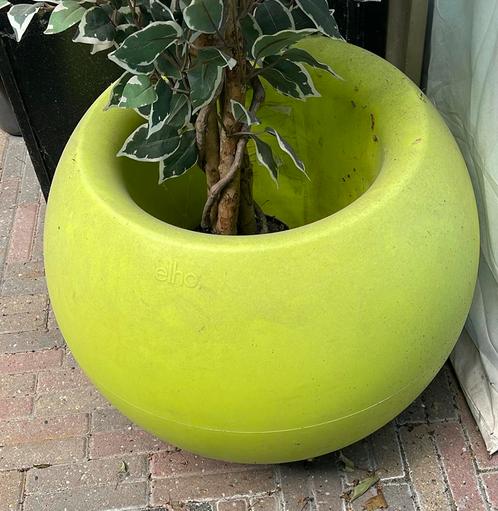 2 Elho bloembakken, Tuin en Terras, Bloembakken en Plantenbakken, Gebruikt, Kunststof, Minder dan 60 cm, Rond, Ophalen